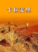 江湖悠悠：武林高手的修炼之路